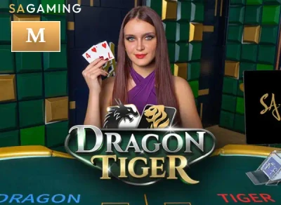 DA88 M Dragon Tiger
